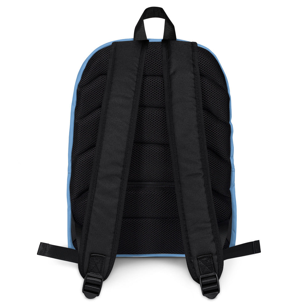 HOODSTAR BLUE BACKPACK